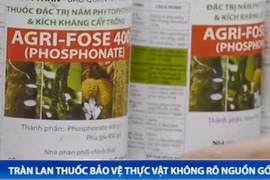 Tràn lan thuốc bảo vệ thực vật giả, nhái