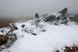 Đức: Máy bay đâm cột điện, 4 người tử nạn