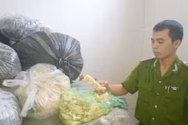 Hơn 3 tấn dược liệu không rõ nguồn gốc