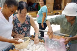 Trứng gà tăng giá