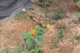 Dùng điếu cày đập anh họ tử vong