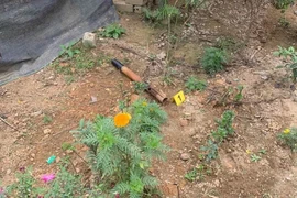 Dùng điếu cày đập anh họ tử vong