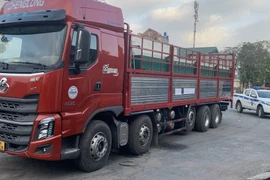 Sử dụng biển số giả vận chuyển 450kg cá tầm nhập lậu