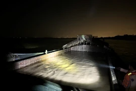 Bắt quả tang tàu khai thác cát trên sông Hồng