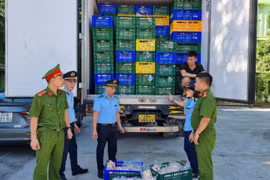 Chặn 10 tấn gà đông lạnh không rõ nguồn gốc, chuẩn bị được vận chuyển đi tiêu thụ