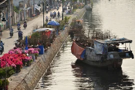 Mùa thuyền hoa về phố