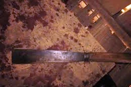 Con rể dùng dao phay chém cả nhà mẹ vợ rồi tự sát