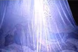 Bắt giữ nhóm "ma nhớt" rạch mùng ở miền Tây