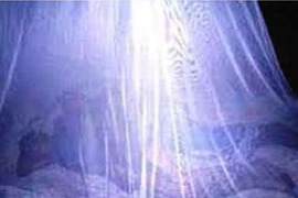 Bắt giữ nhóm "ma nhớt" rạch mùng ở miền Tây