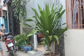 Hai mẹ con bị dí dao, cướp tài sản trong đêm tối