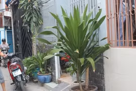 Hai mẹ con bị dí dao, cướp tài sản trong đêm tối