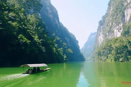 Diễn viên “Cha cõng con” làm kênh khám phá "ẩn số" vẻ đẹp Việt Nam