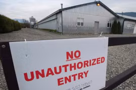 Xuất hiện virus cúm gia cầm tại Bắc Mỹ