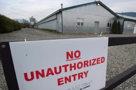 Xuất hiện virus cúm gia cầm tại Bắc Mỹ