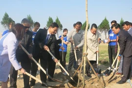 Uống chai sành, trồng cây xanh”