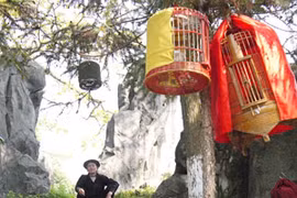 “Hội chọi mi” trên Cao nguyên đá