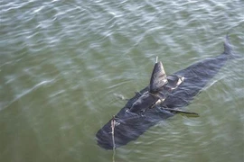 Mỹ có robot "cá mập", cực khó phát hiện