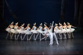 Ballet "Hồ Thiên Nga" trở lại