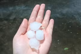 Mưa giông cực lớn, Hà Nội xuất hiện mưa đá, cây cối gãy đổ la liệt