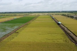 Bộ trưởng Lê Minh Hoan: Sẽ định hình tư duy làm nông nghiệp mới