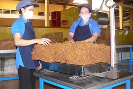 Không đồng tình tăng tuổi nghỉ hưu