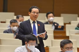 ĐBQH: Nền kinh tế Việt Nam còn thiếu "cá tính trụ cột", lo lạm phát bùng lên