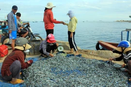 Chức năng của Tổng cục Biển và Hải đảo Việt Nam