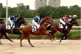 Đề xuất cho cá cược tới 1 triệu đồng