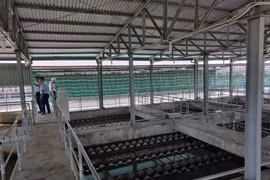 Cấp nước Hè 2021: Hạ nhiệt mối lo thiếu nước sinh hoạt, tìm mọi cách chống lãng phí