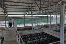 Cấp nước Hè 2021: Hạ nhiệt mối lo thiếu nước sinh hoạt, tìm mọi cách chống lãng phí