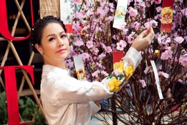 Nhật Kim Anh duyên dáng trong tà áo dài đón xuân