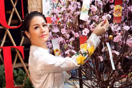 Nhật Kim Anh duyên dáng trong tà áo dài đón xuân