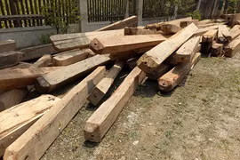 Lực lượng chức năng thu giữ số gỗ để xử lý theo pháp luật