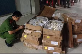 Lực lượng chức năng kiểm tra số thực phẩm bẩn