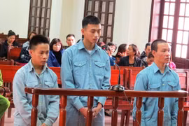 Hai anh em ruột dắt nhau vào tù vì trộm cắp tài sản, tàng trữ súng