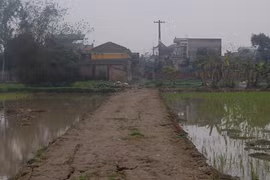 Đòi đất thiếu căn cứ, vi phạm pháp luật