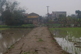 Đòi đất thiếu căn cứ, vi phạm pháp luật