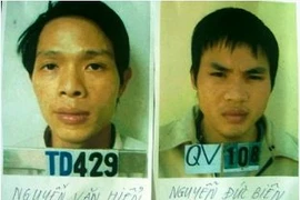 Không thể xử nhẹ trộm chó giết người