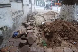 “Độn thổ”, cắt phá cáp điện trung thế