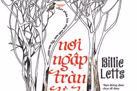 “Nơi ngập tràn tình yêu”