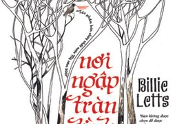 “Nơi ngập tràn tình yêu”