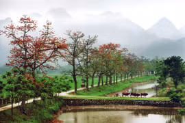 "Nét đẹp văn hóa người Hà Nội"