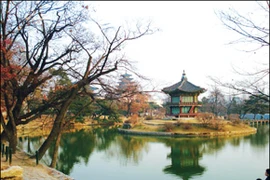 Tour trải nghiệm du lịch và sáng tác