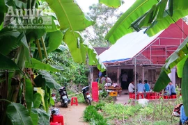 Nghi án con trai mắc bệnh tâm thần dùng gậy đánh cha tử vong 