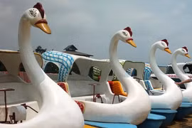 Hồ Núi Cốc: Bến tầu triệu đô đang “mắc cạn”