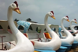 Hồ Núi Cốc: Bến tầu triệu đô đang “mắc cạn”