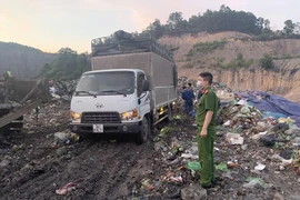 Tiêu hủy hơn 28.000 con giống gia cầm nhập lậu