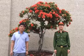 Cây hoa Mẫu đơn hơn 120 triệu đồng bỗng dưng “biến mất” đã trở về với chủ nhân