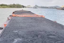 Bắt giữ tàu vận chuyển gần 1 nghìn tấn sản phẩm ngoài than không rõ nguồn gốc