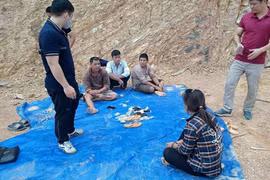 Khởi tố chục đối tượng đánh bạc trên bãi đất trống bìa rừng 